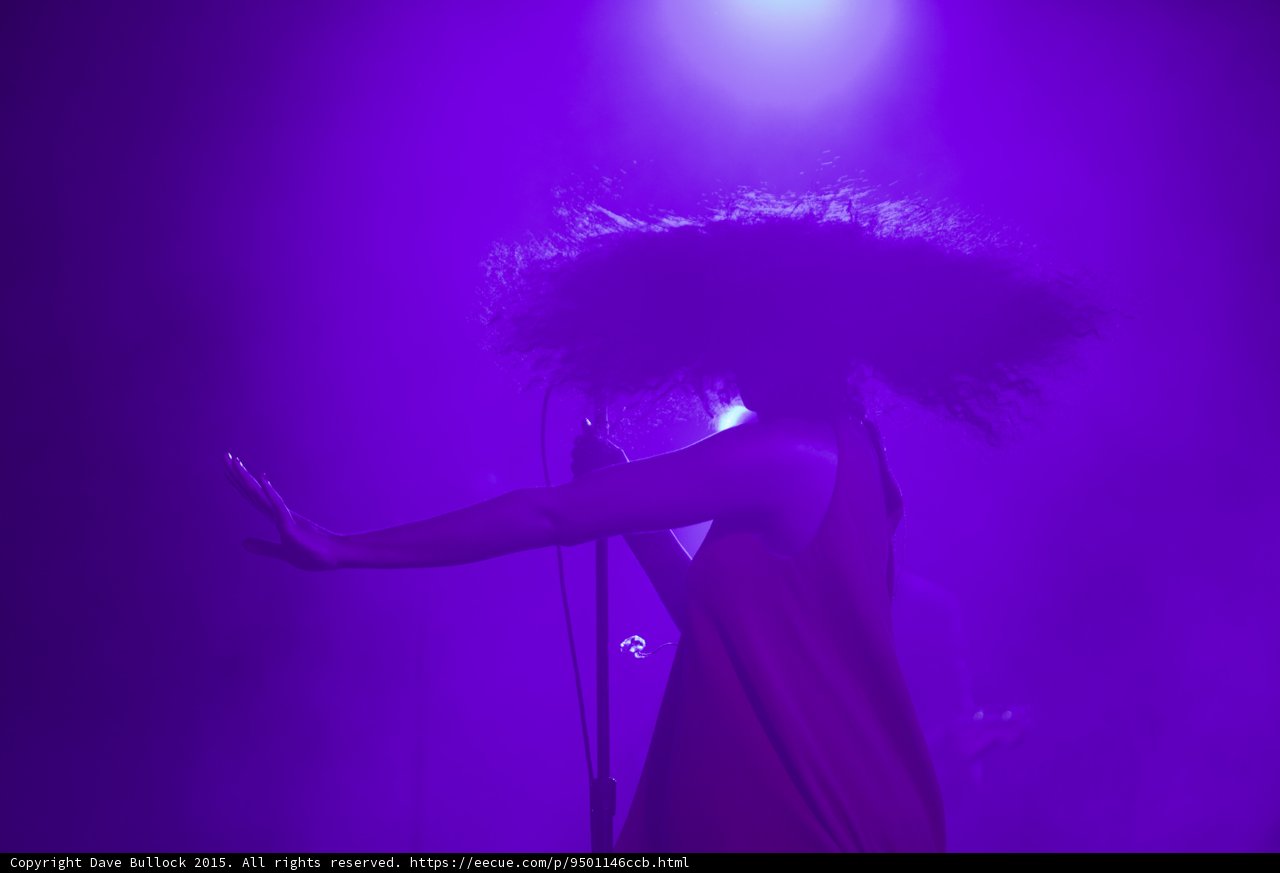 Florence Welch Arms Spread Hair Halo Theatrical