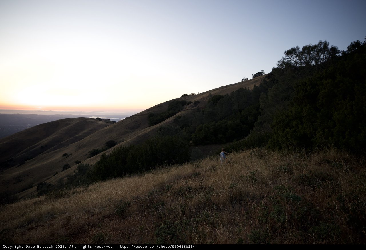 Golden Hills at Dusk on Mount Diablo
