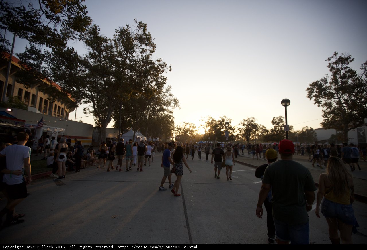 Festival Dusk Wide