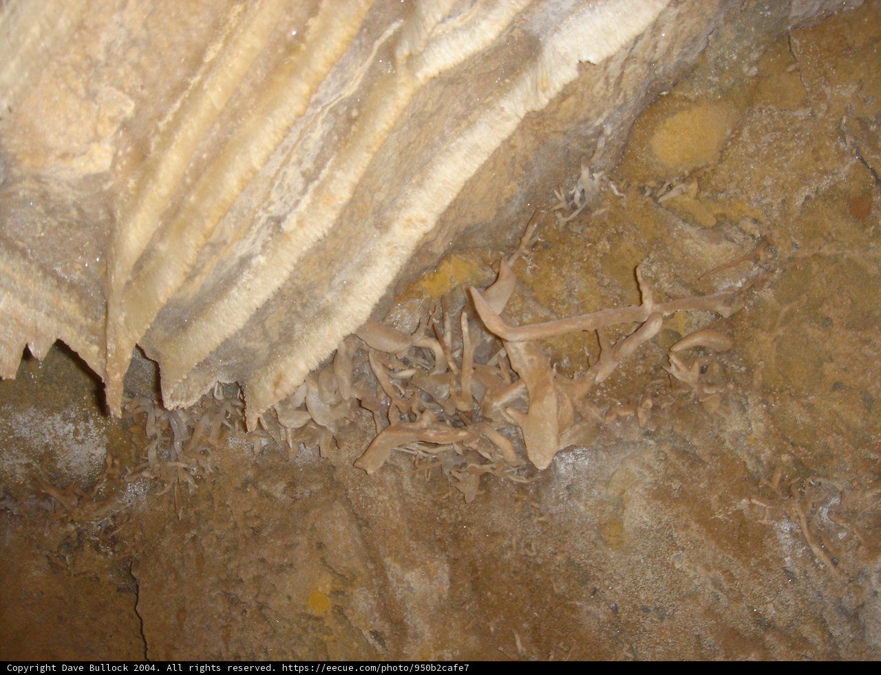 Bones of the Earth