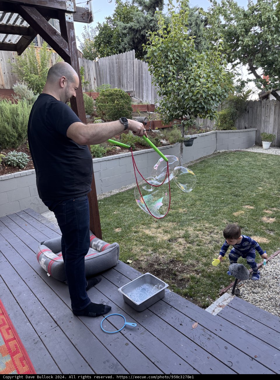 Backyard Bubble Magic