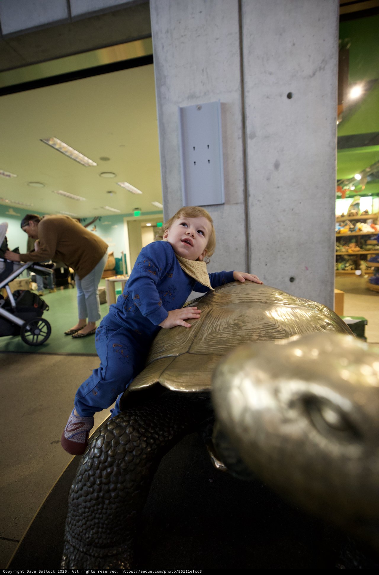 Child Climbing Bronze Turtle Sculpture in Museum