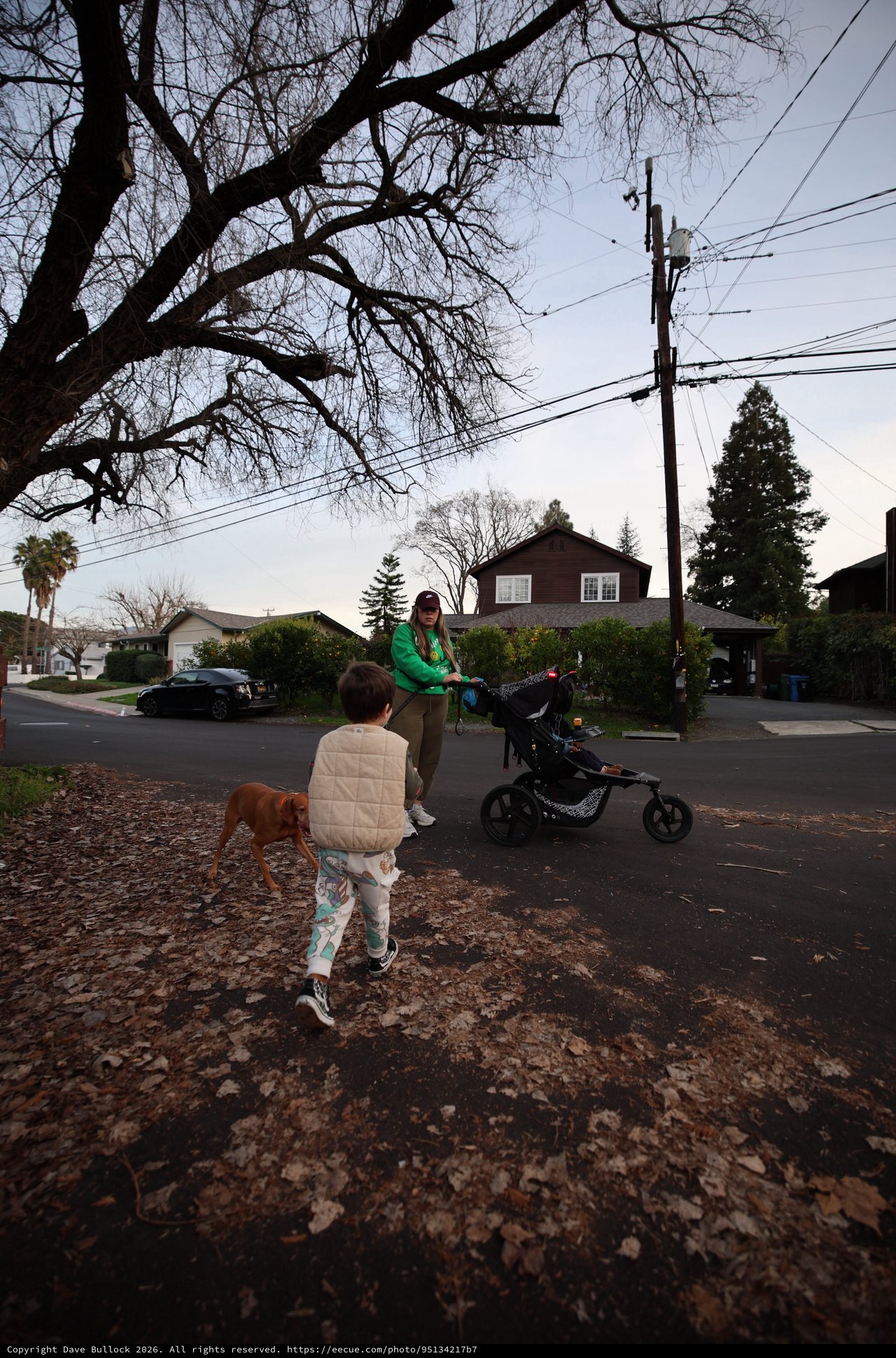 Suburban Evening Walk with Family and Dog
