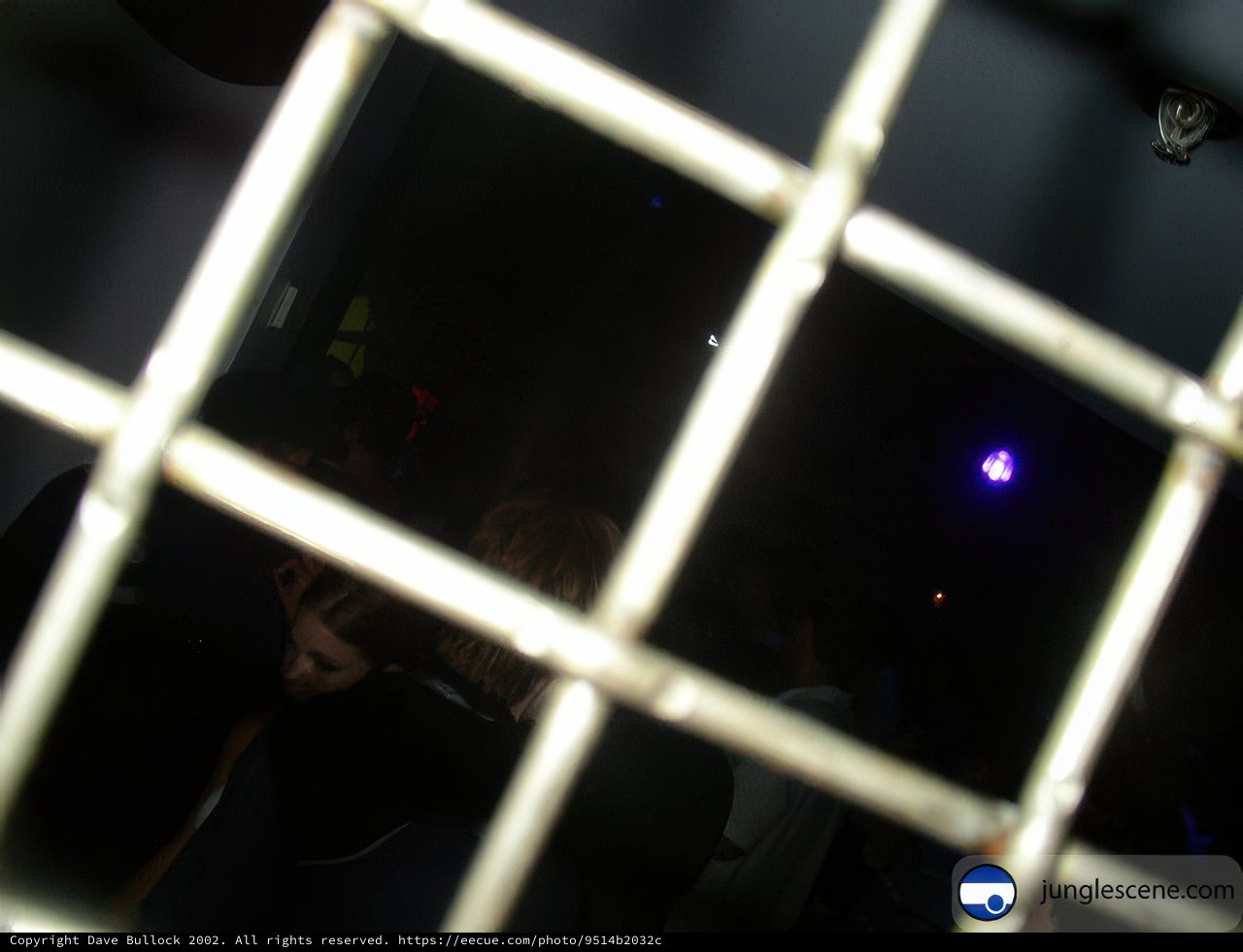 Disco Nights Behind the Grille