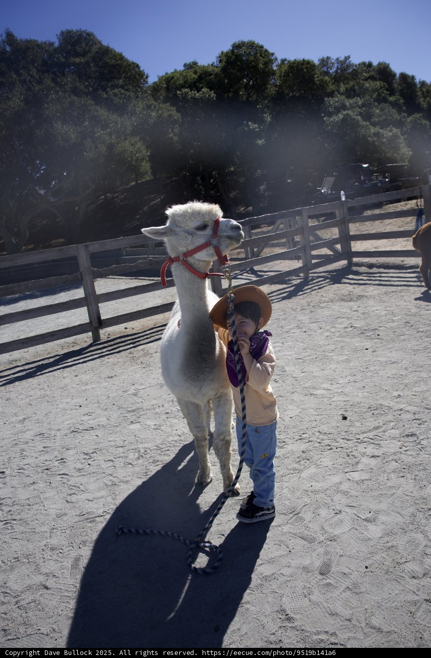 A Day at the Ranch