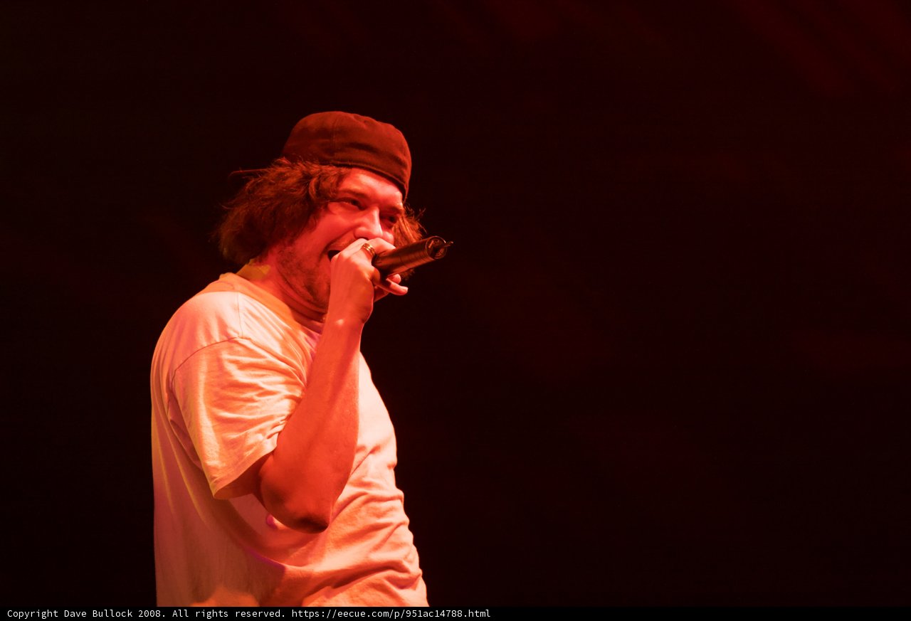 Aesop Rock Rocks Coachella Stage