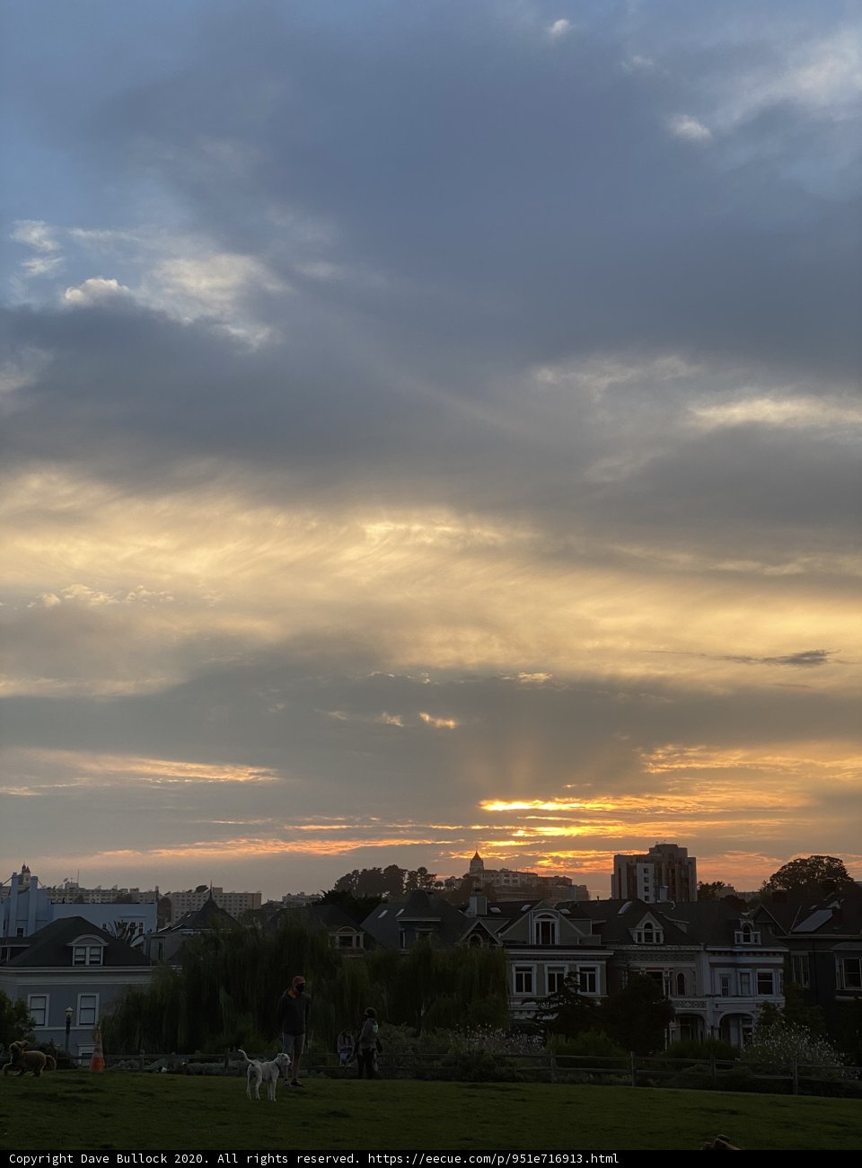 Sunset Pooch at Alamo Square