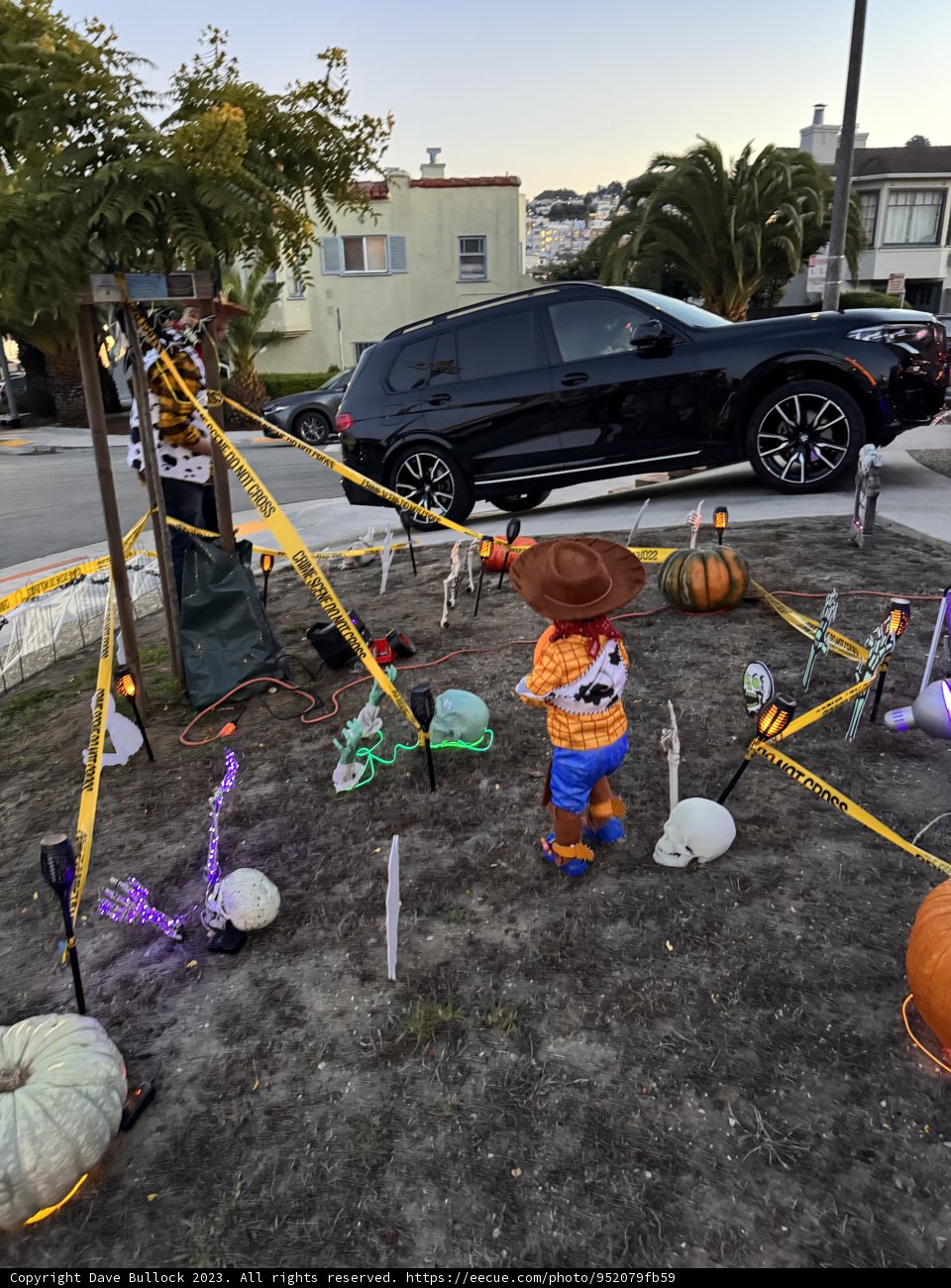 A Spooky Halloween Under the Palms