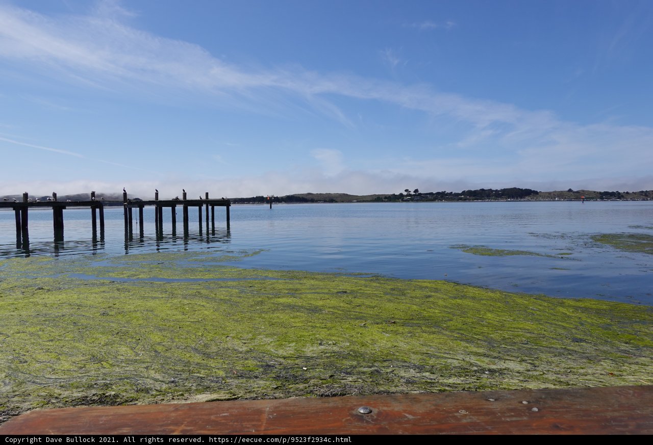 Serene Views at Bodega Bay