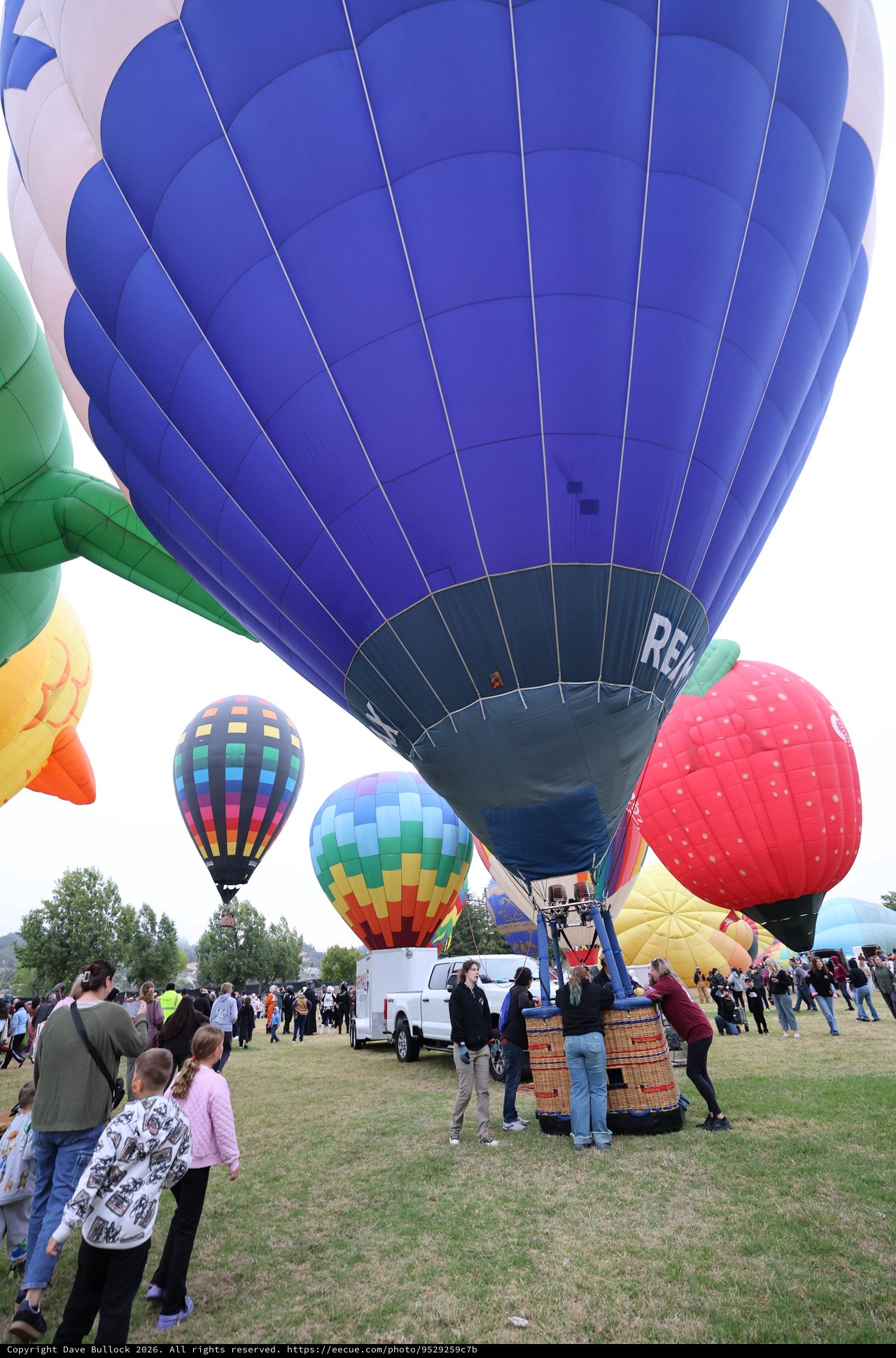 Colorful Hot Air Balloons Launch at Sonoma County Classic