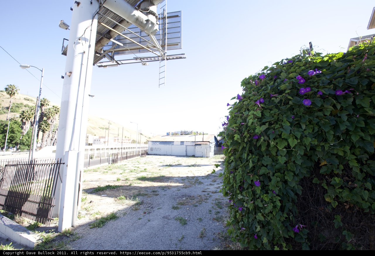 Flower-adorned Signpost on Arbour Walkway