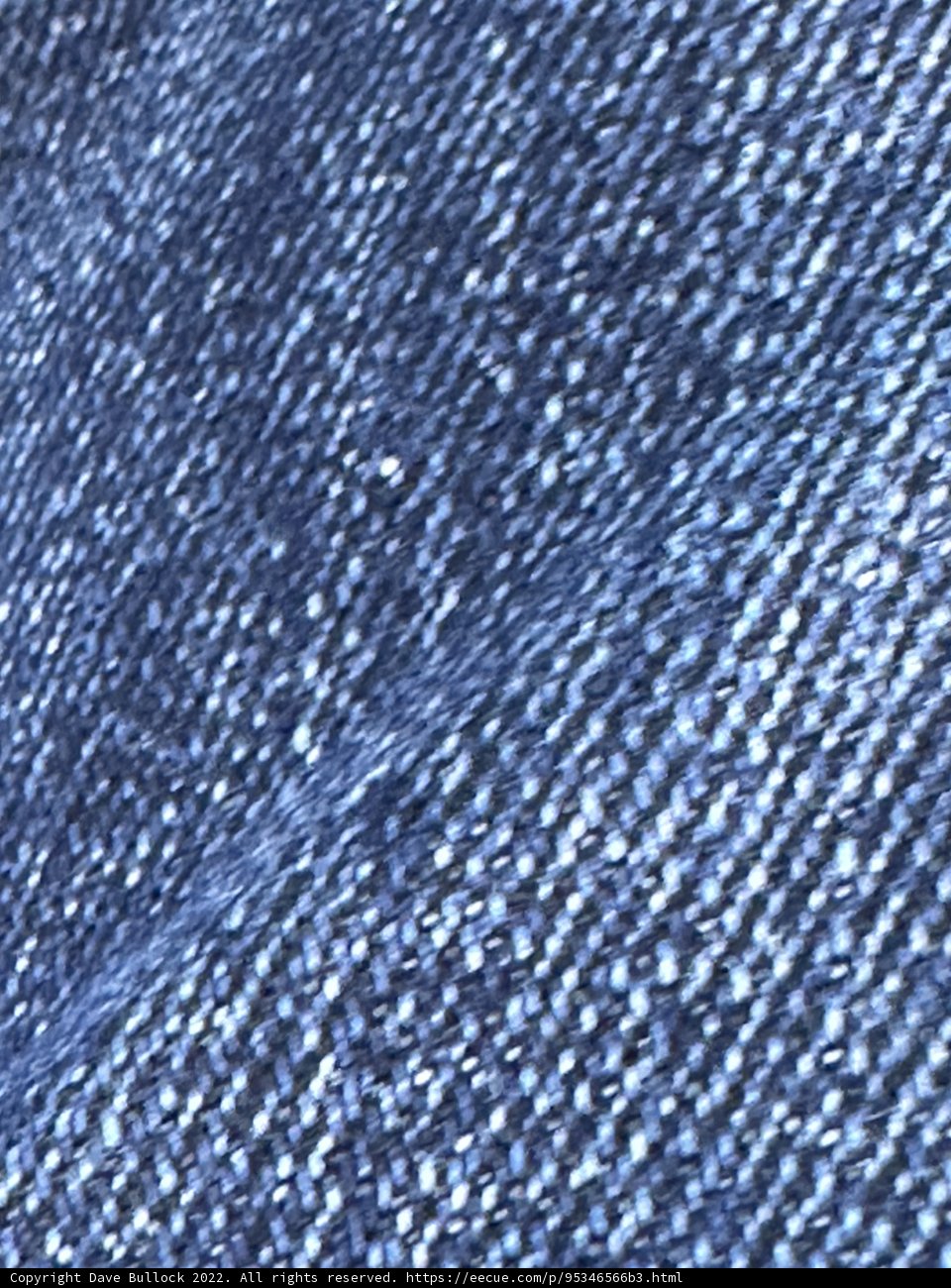 Dotted Denim