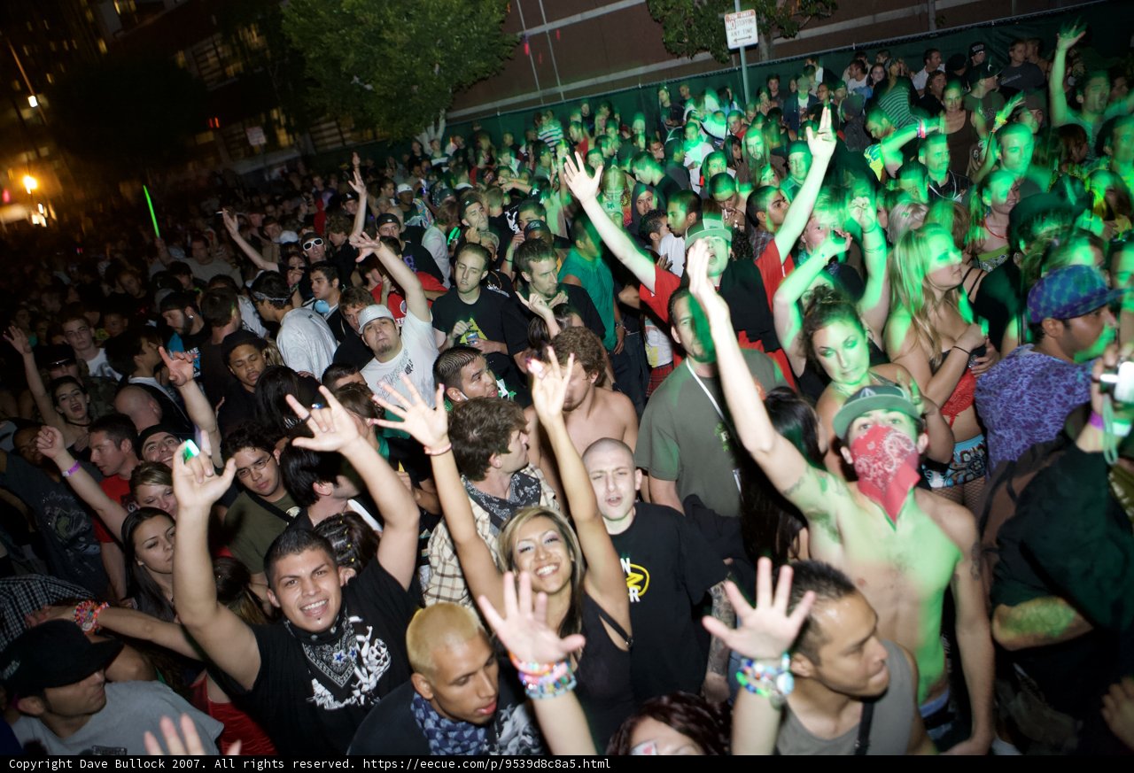 Nocturnal Crowd Goes Wild