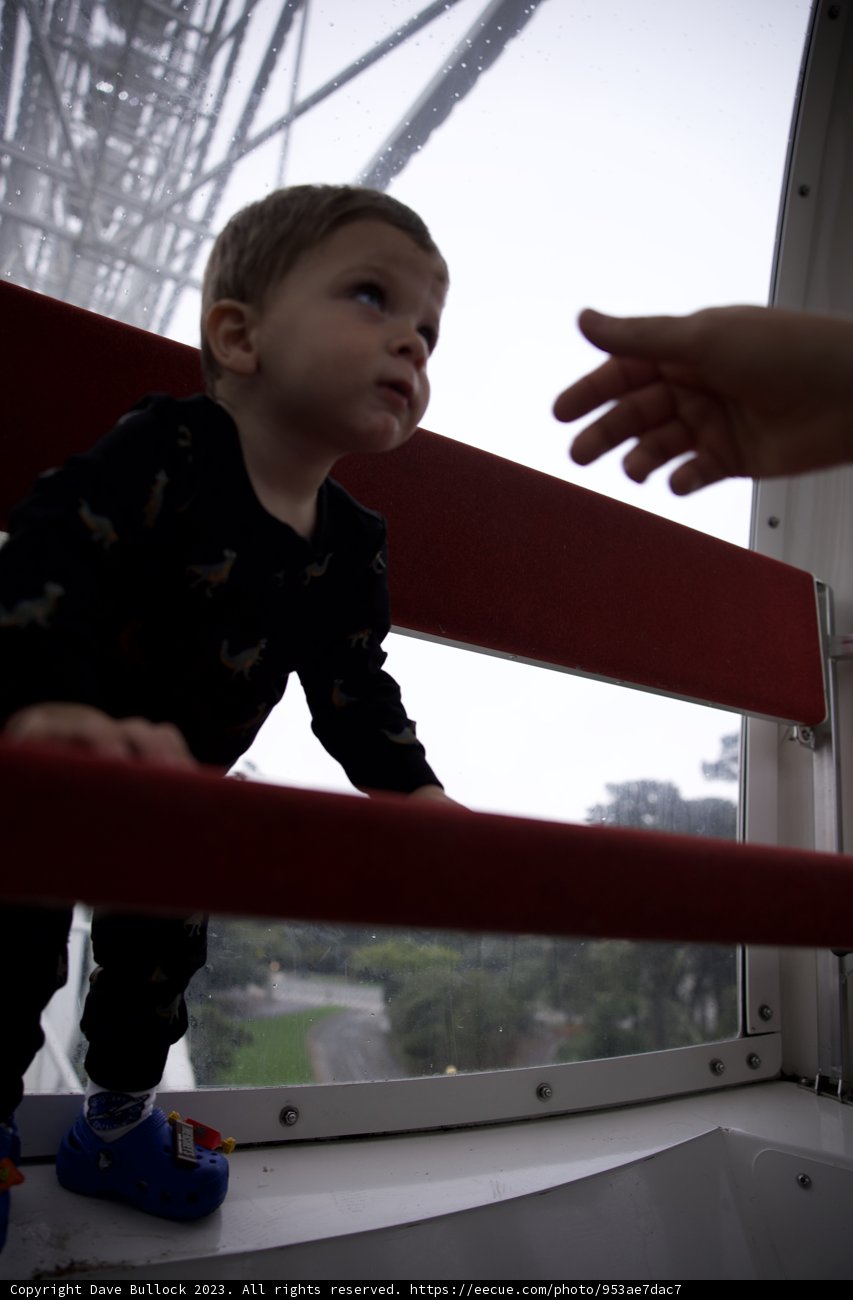 Innocence in Gaze: A Moment in Golden Gate Park