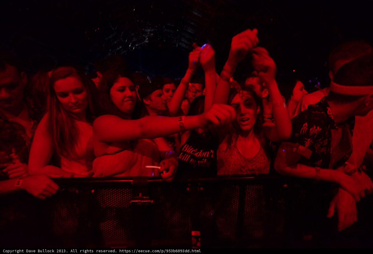 Coachella Crowd Goes Wild