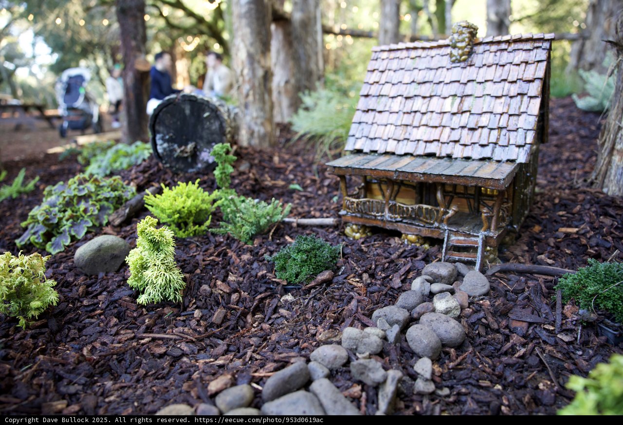 Enchanting Miniature Worlds