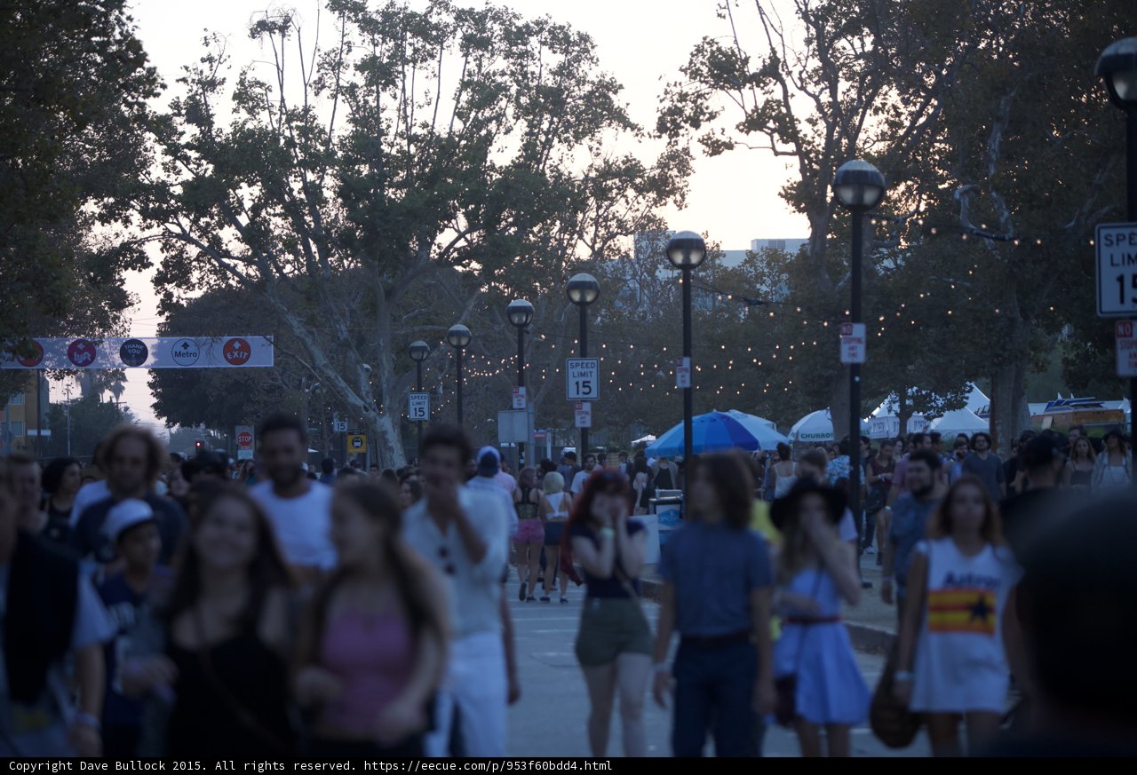Twilight Festival Scene