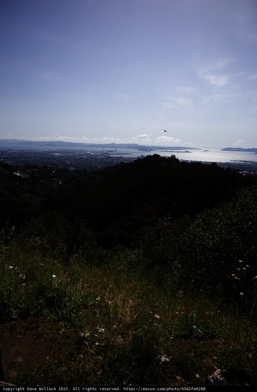 Soaring High in the Skies of Berkeley
