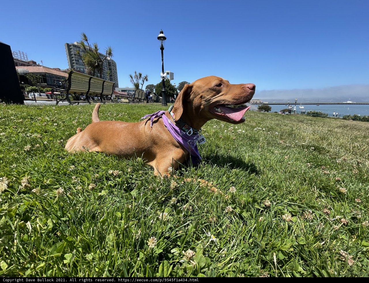 Relaxing in the Park