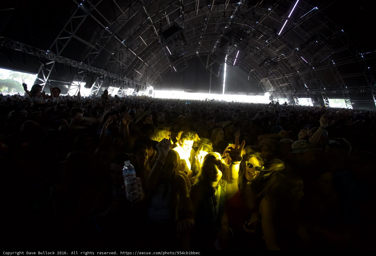 Lights, Crowd, and Music
