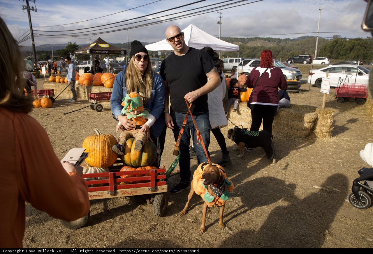 Harvest Time Delight: Halfmoon Bay Pumpkin Festival