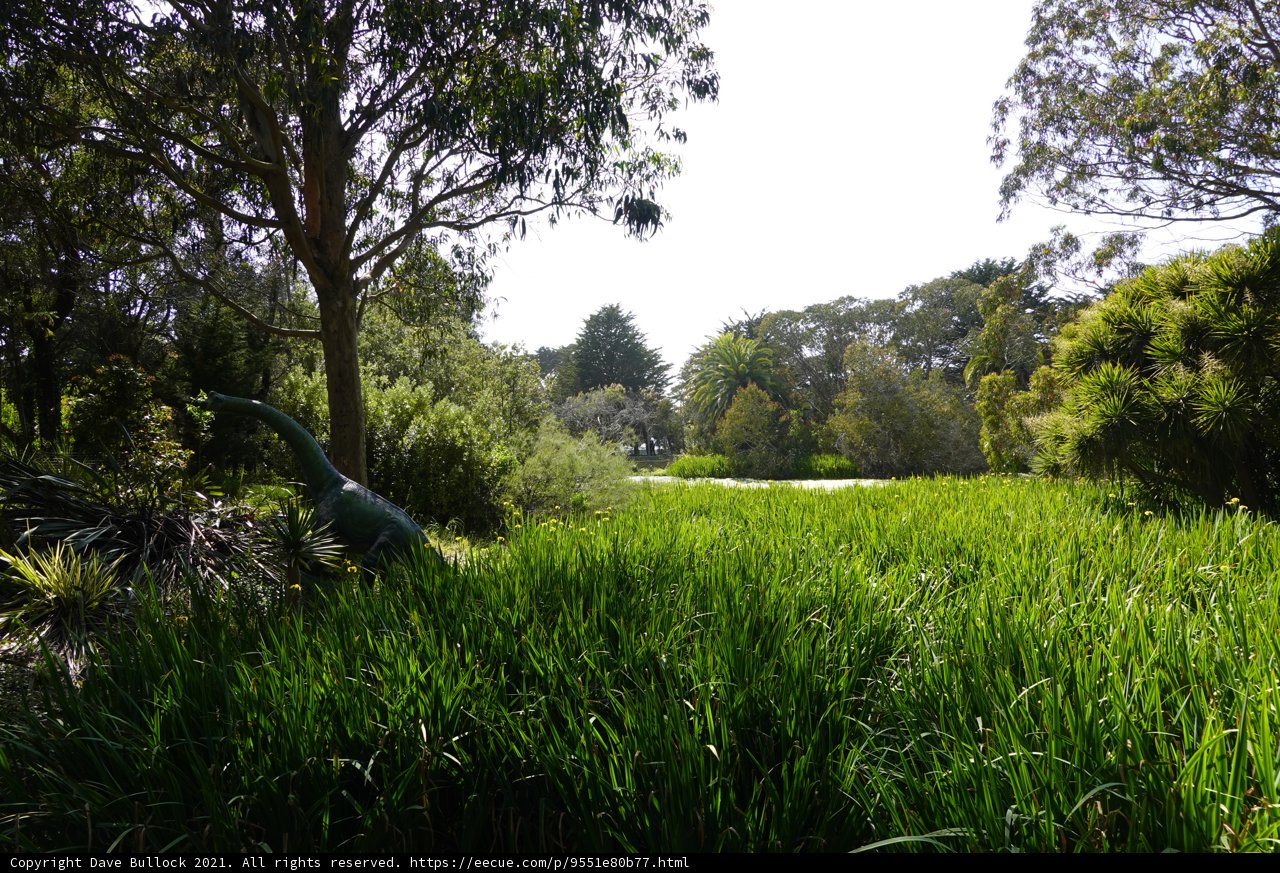 Serene Pastoral Scene
