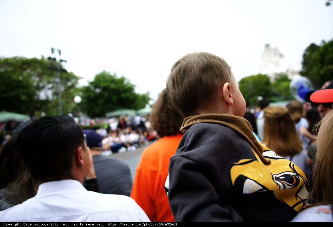 Father-Son Bond at Disneyland