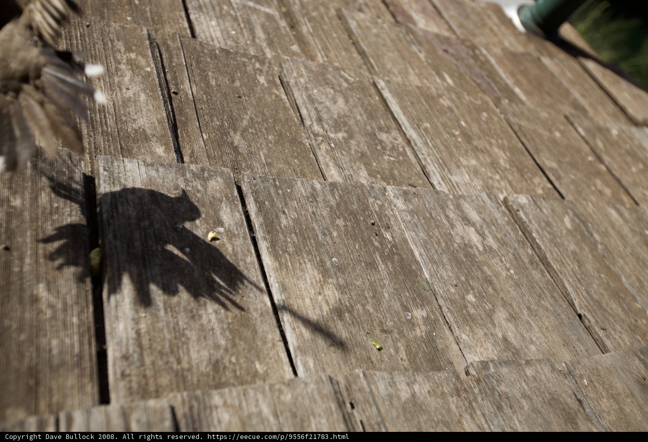 Bird's Eye View on Wooden Roof