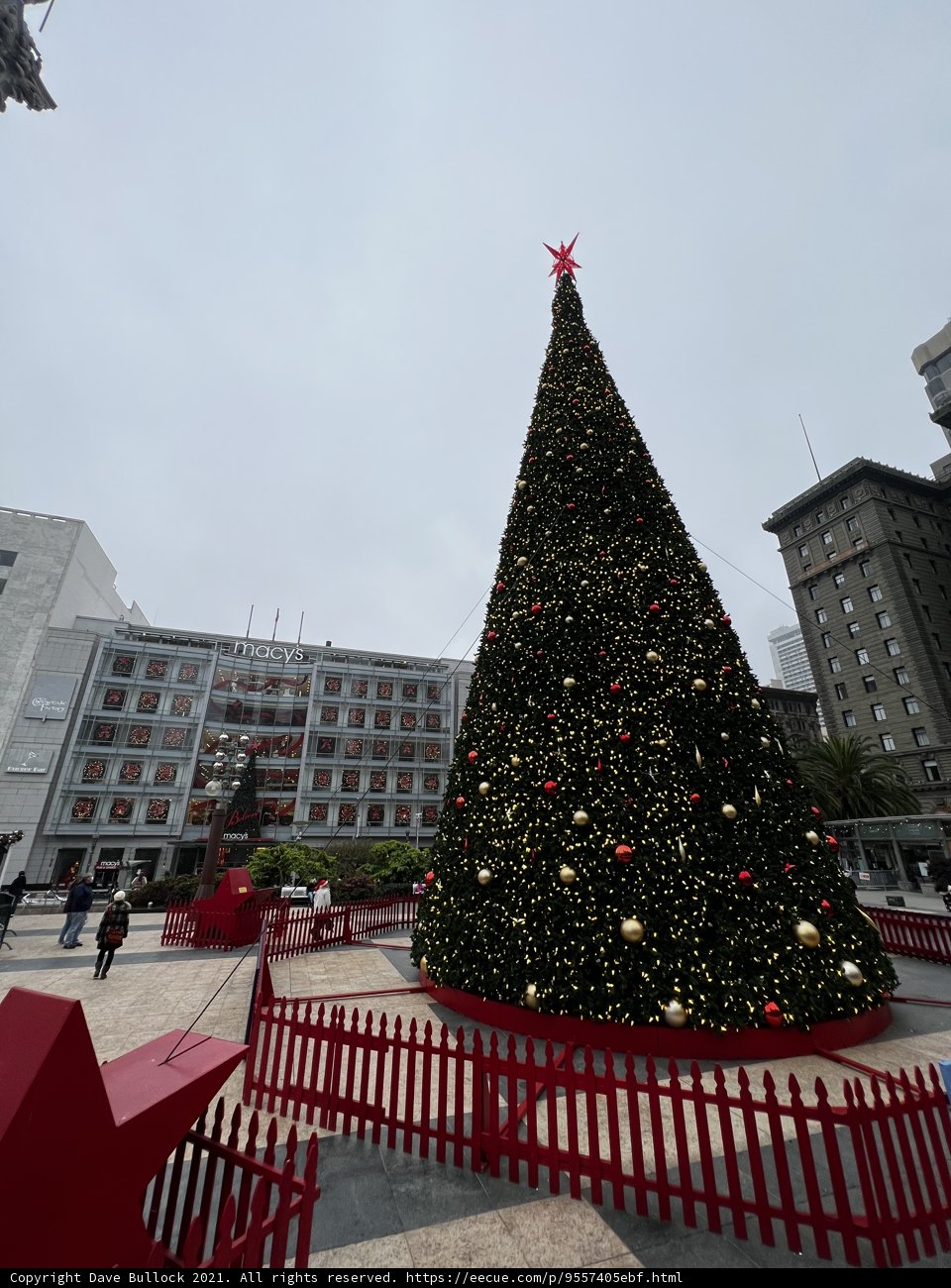 Sparkling Christmas Tree in Union Square