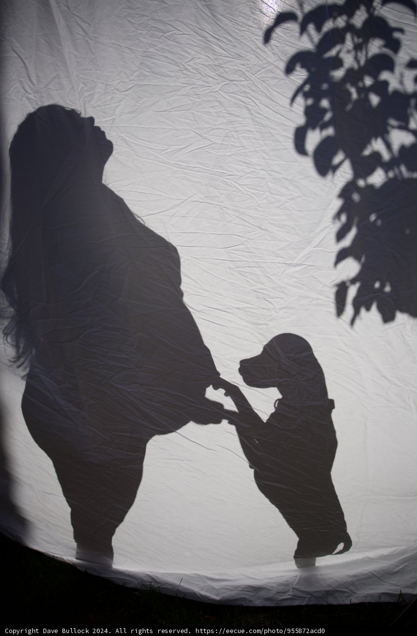 Expectant Moments in Shadows