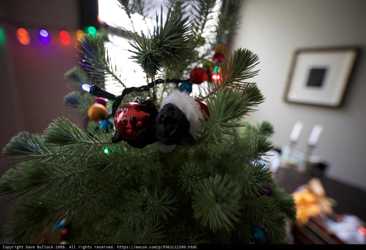 Decking the Halls with a Festive Fir Tree