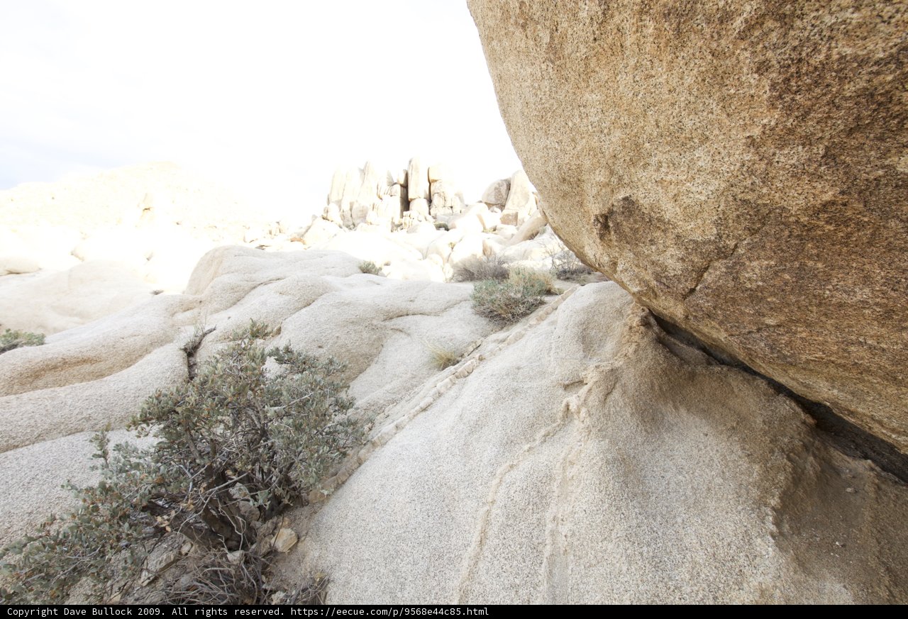 Desert Rock Formation with Lone Tree
