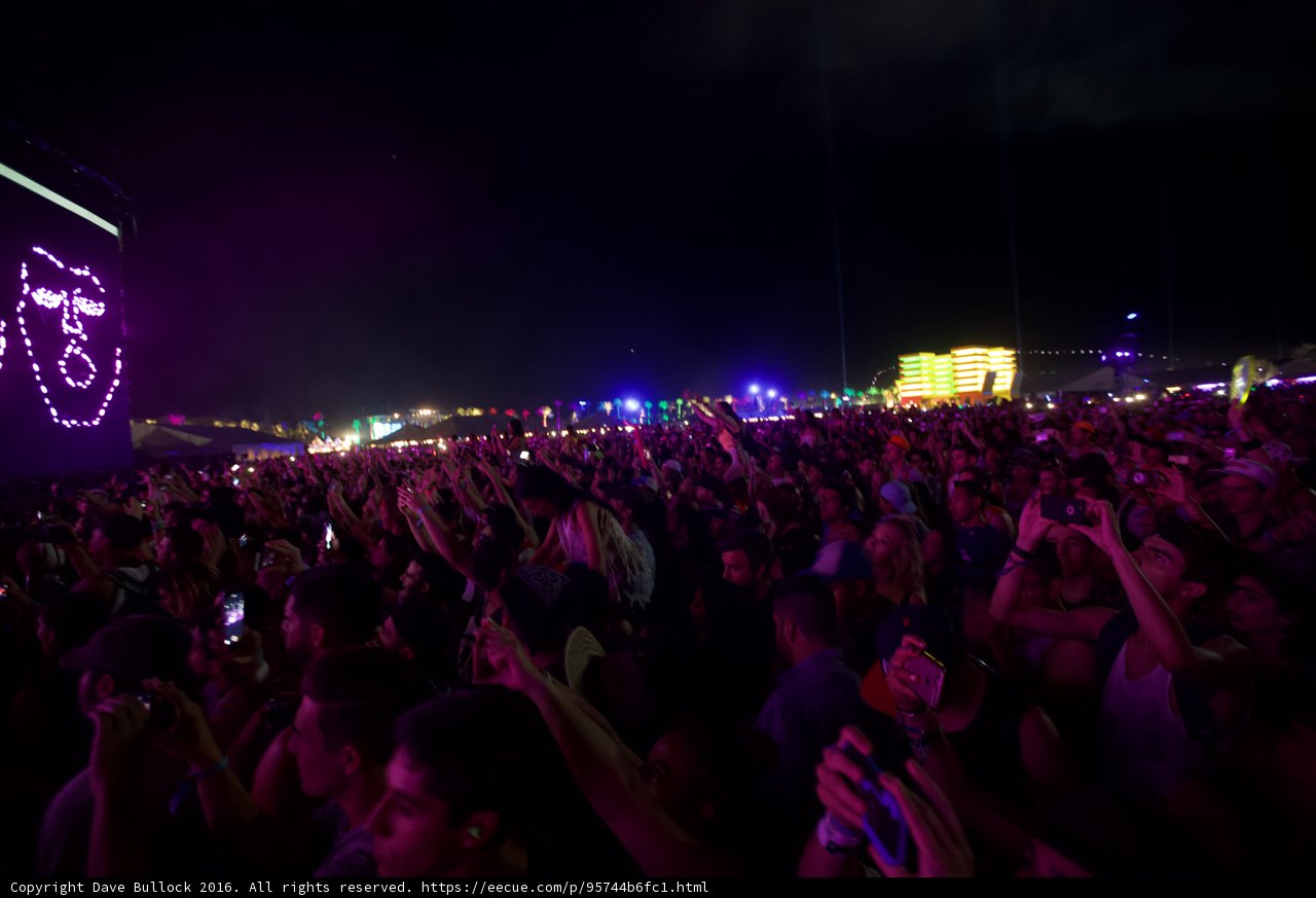 Electric Nights at Coachella