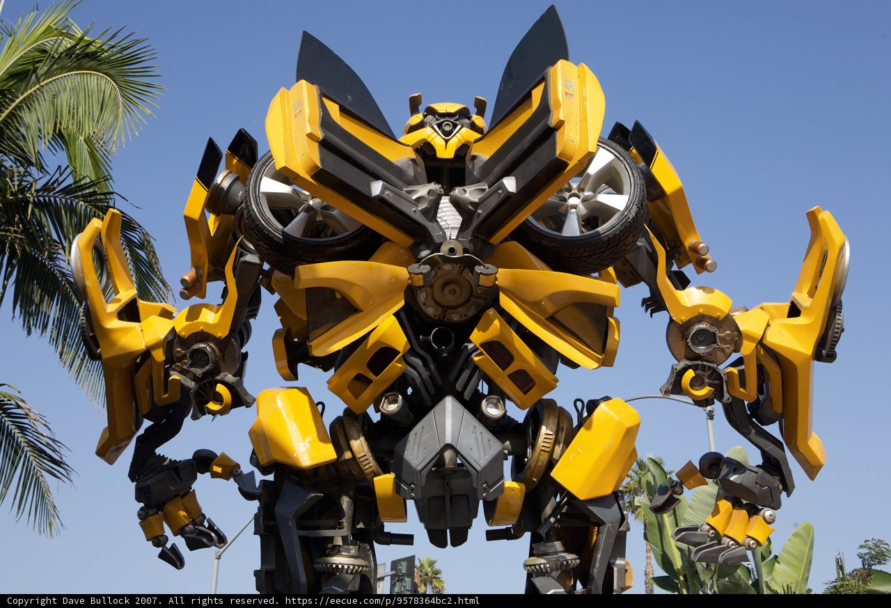 Bumblebee in Paradise