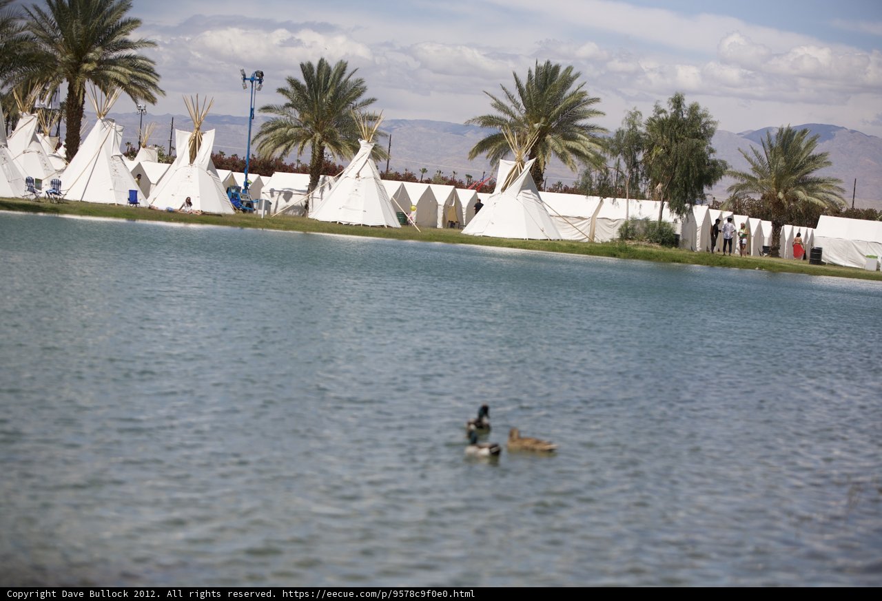 Summer Duck at Coachella