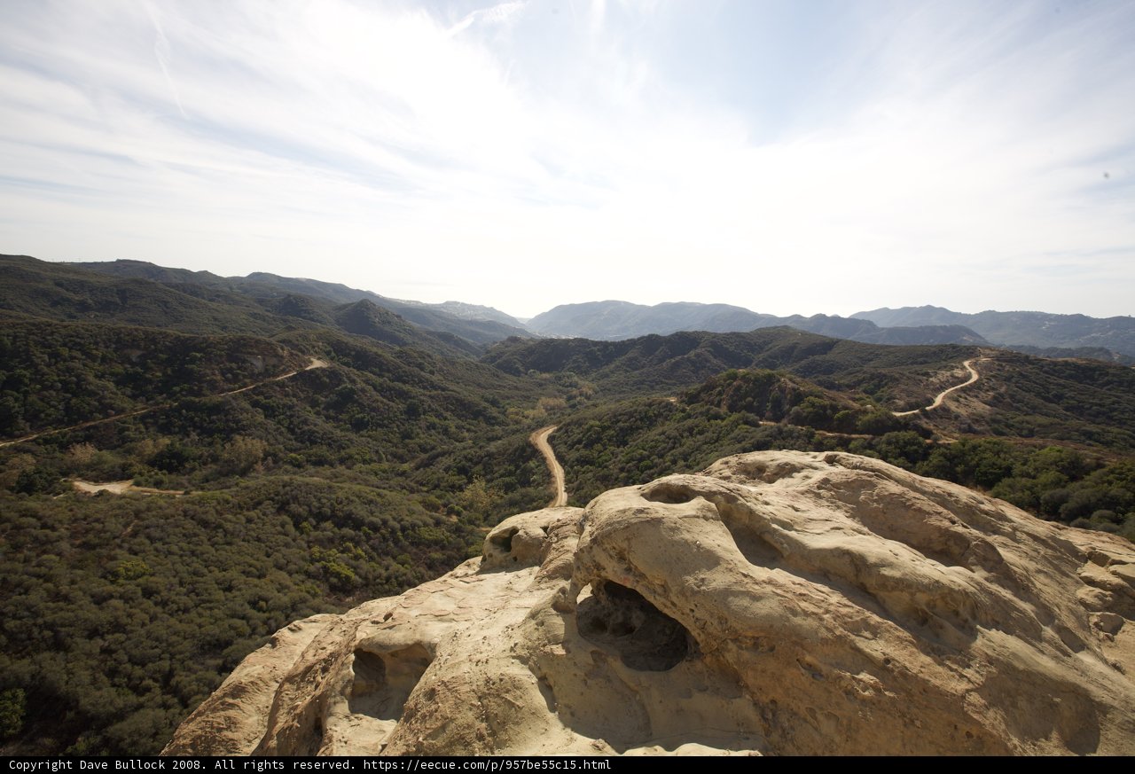 A Majestic View of the Wilderness