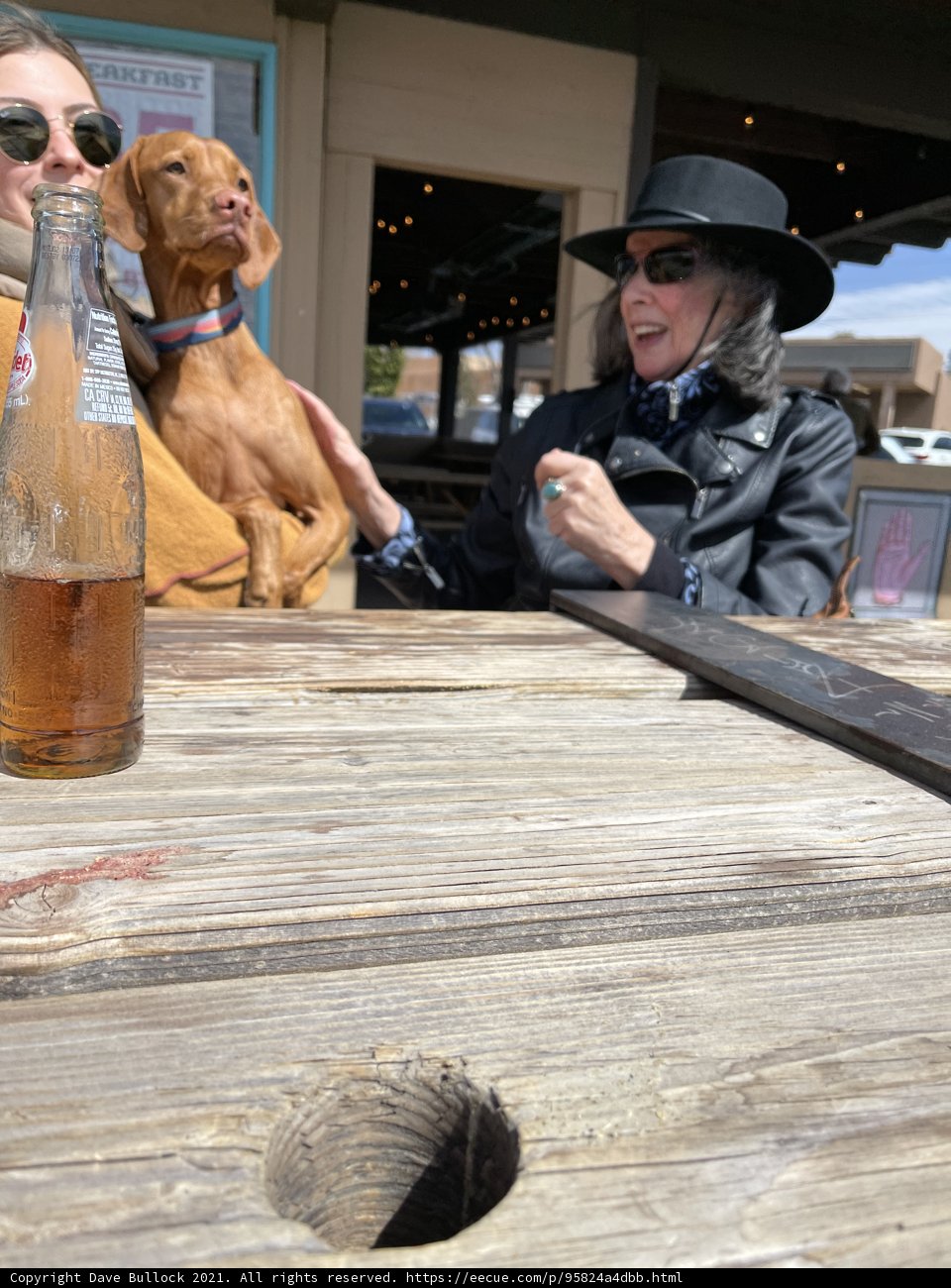 Relaxing with Furry Friends