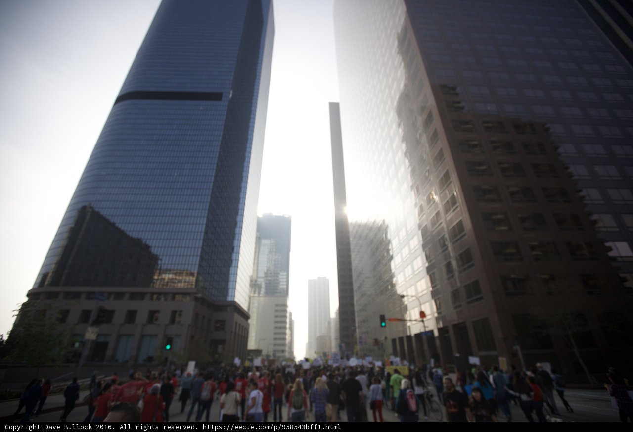 Urbanites Take to the Streets
