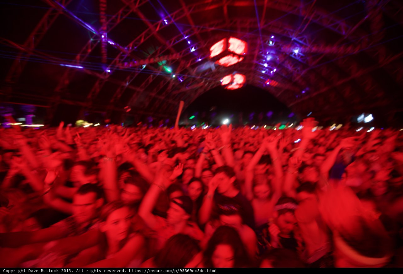 Coachella Concert-goers with Hands Up