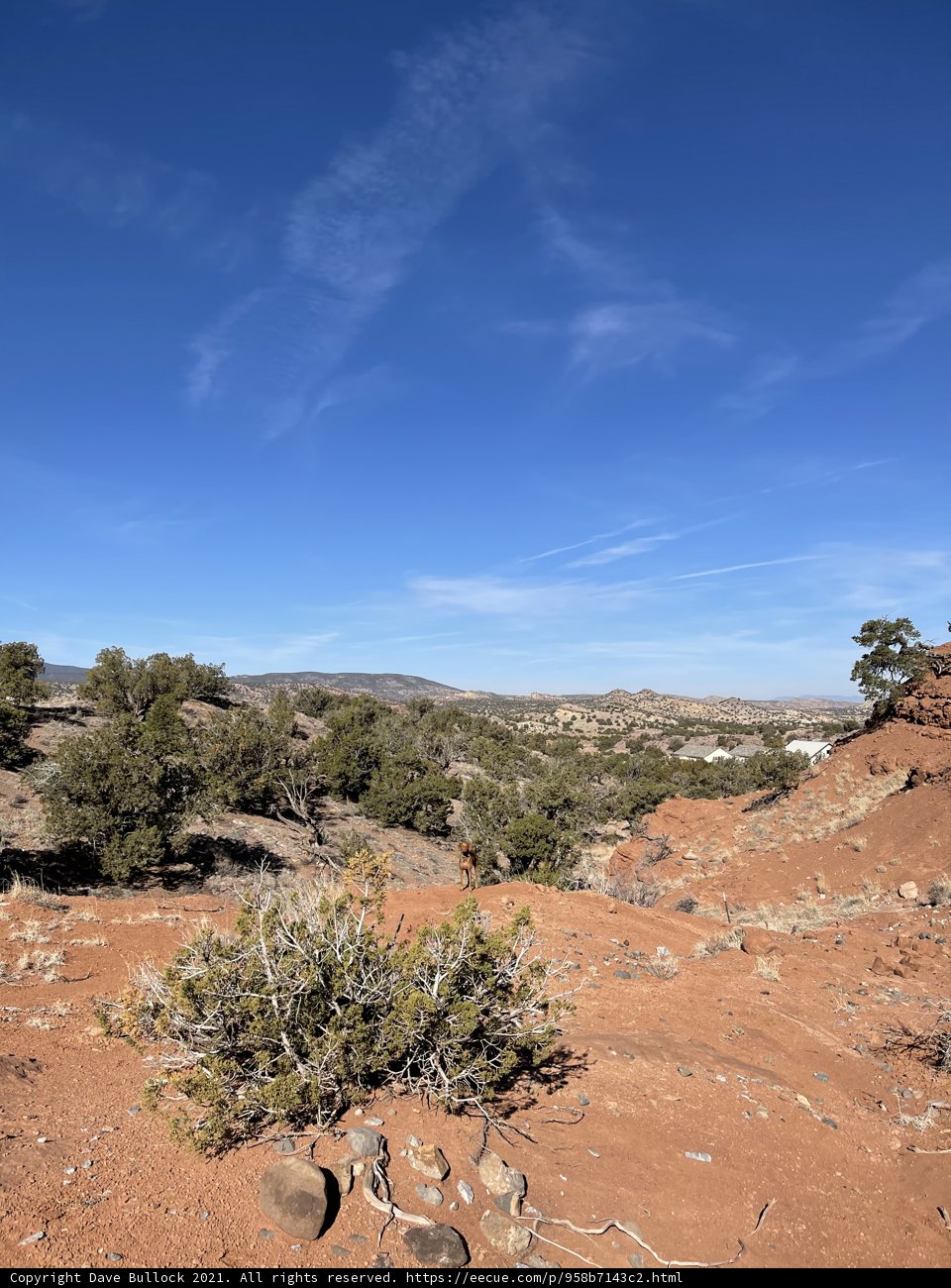 A Majestic View of the Red Rock Desert
