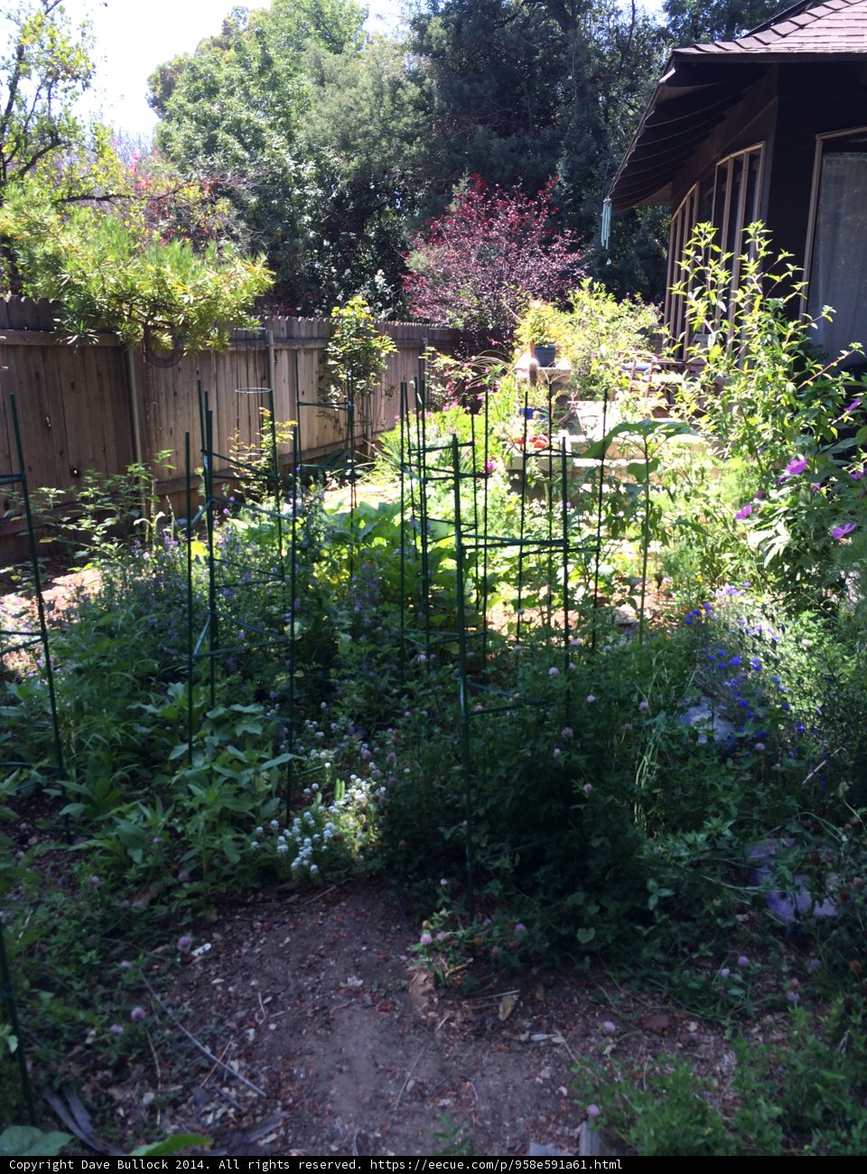 A Bountiful Garden in Altadena