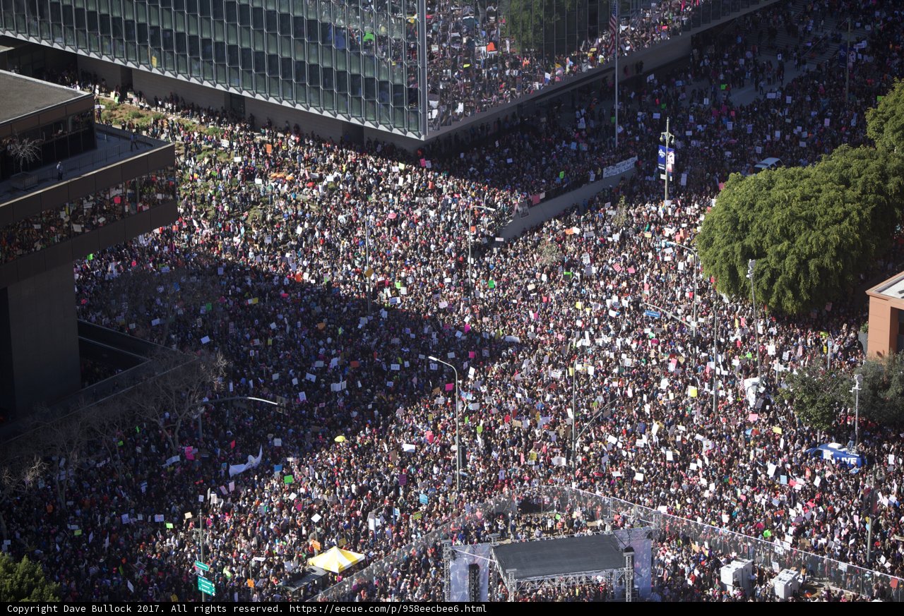 Women March for Equality in the Metropolis