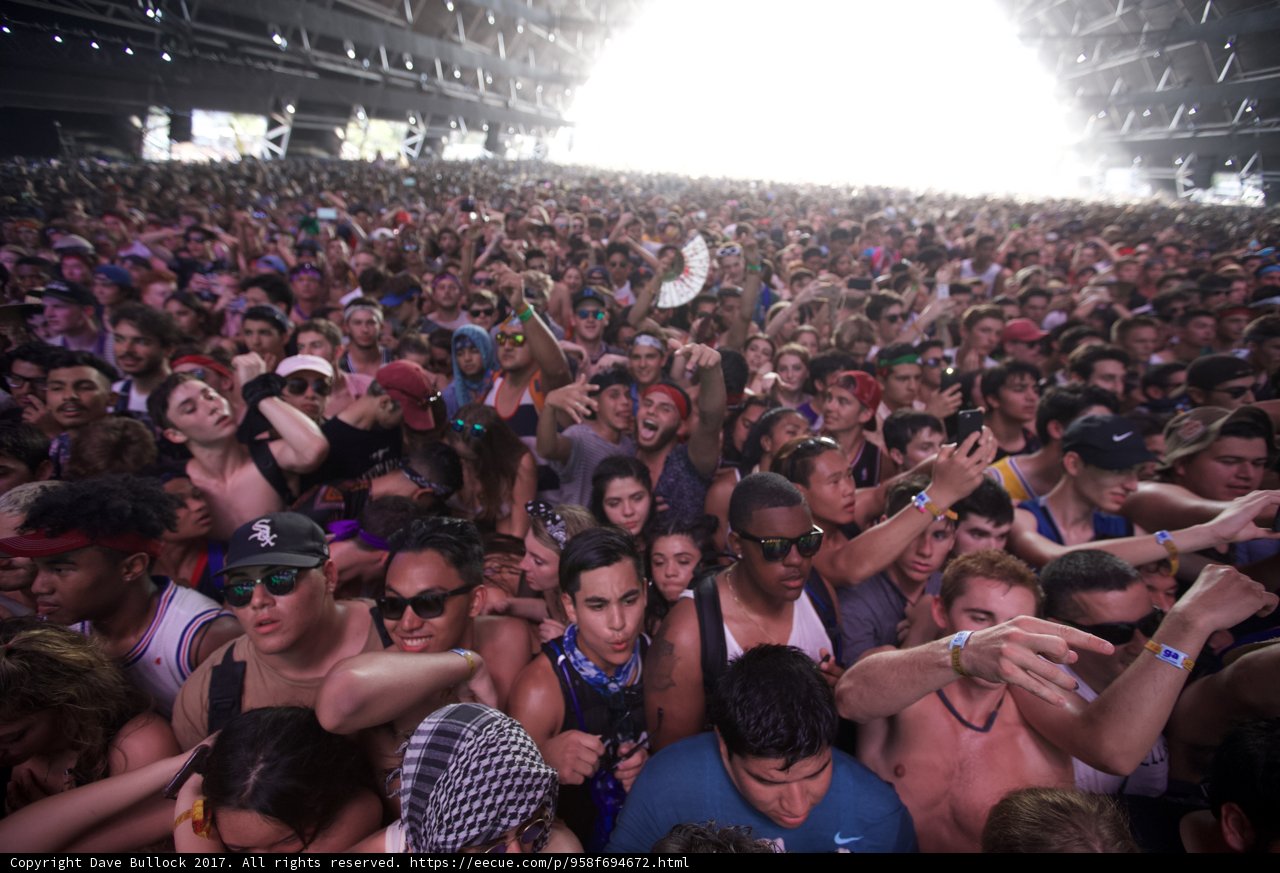 Coachella 2017 Crowd Excitement