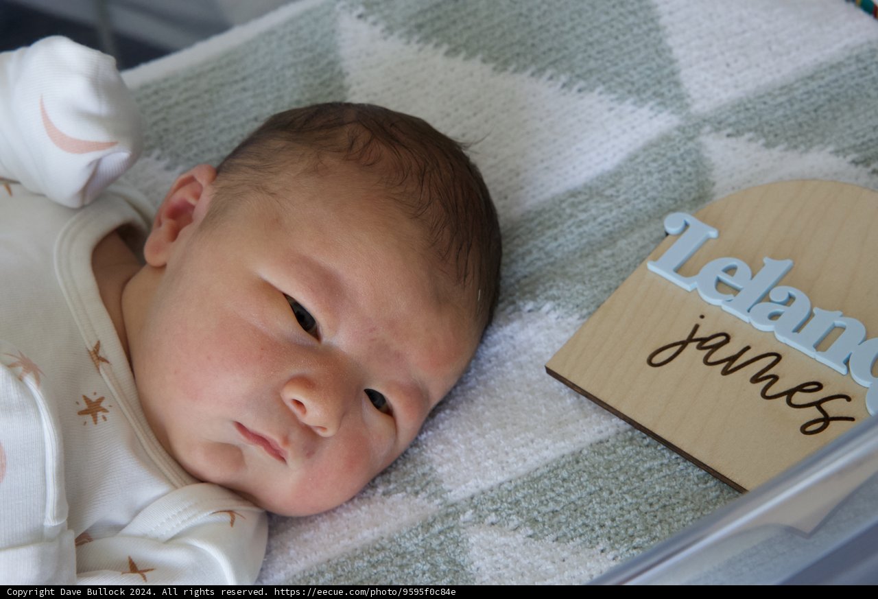 Welcome to the World, Leland James