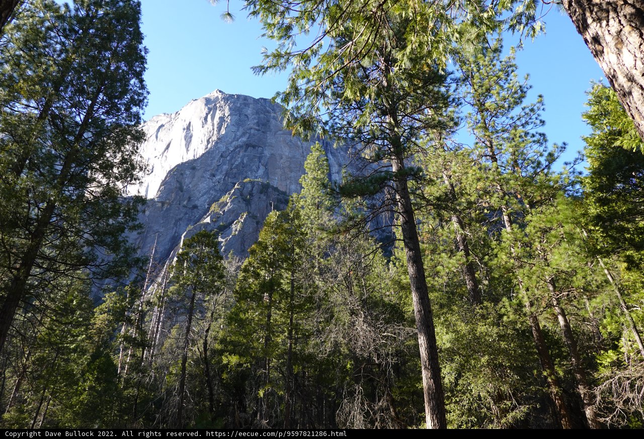 Majestic Mountain Range View from the Forest