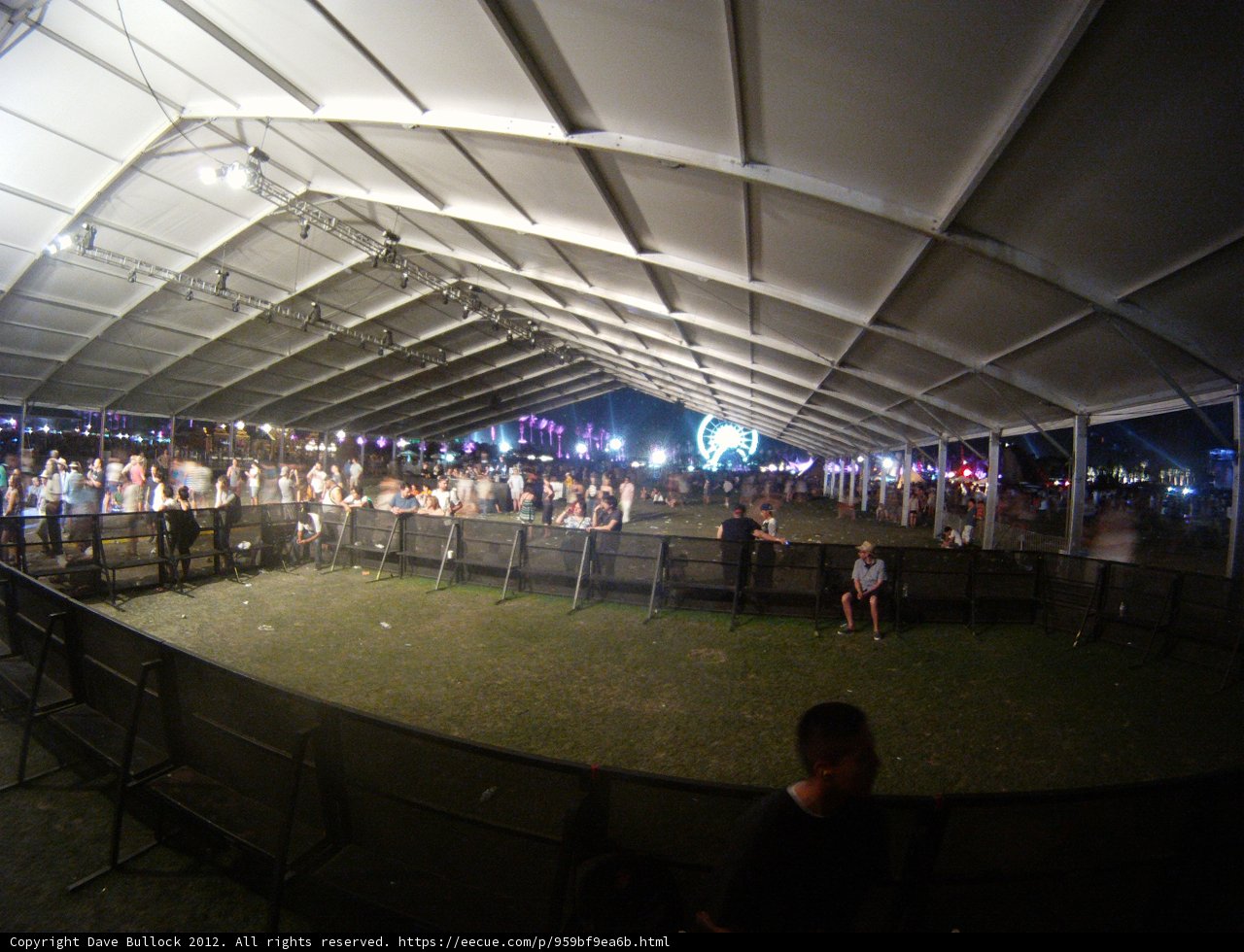 Gathering Under the Canopy