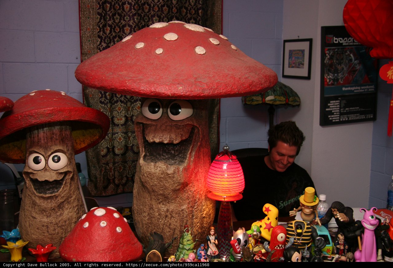 Man and Mushrooms