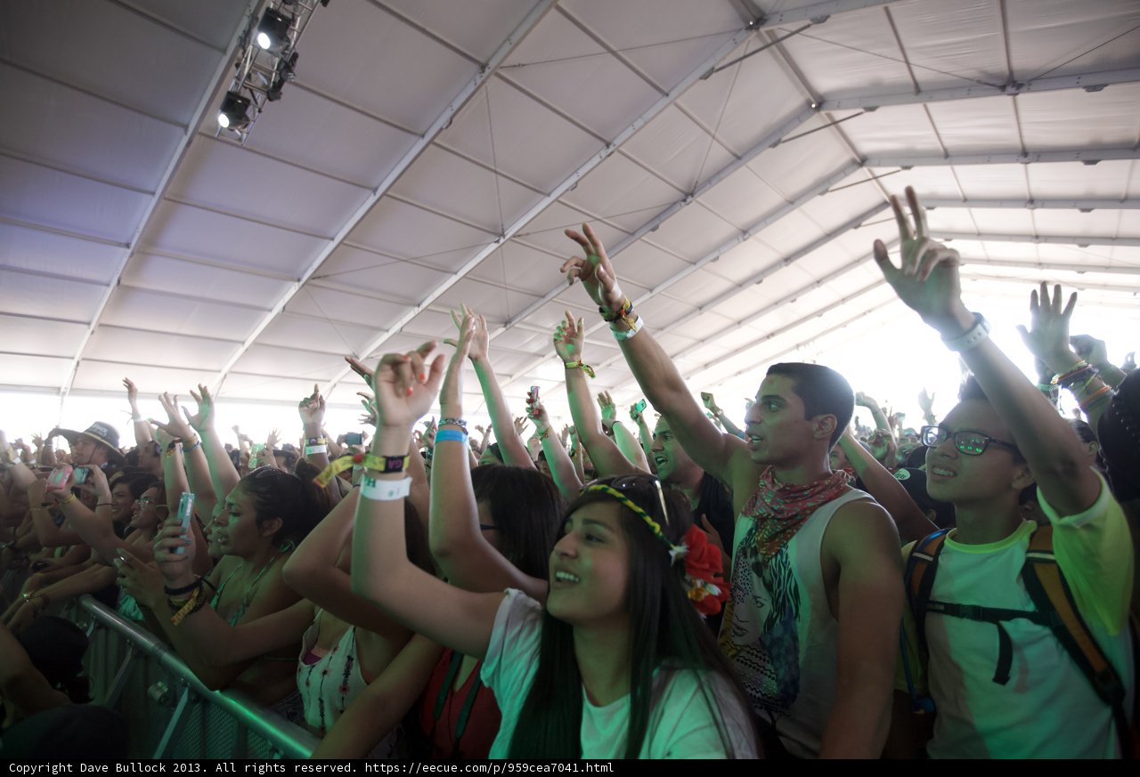 Crowd Celebrating at Coachella Music Festival