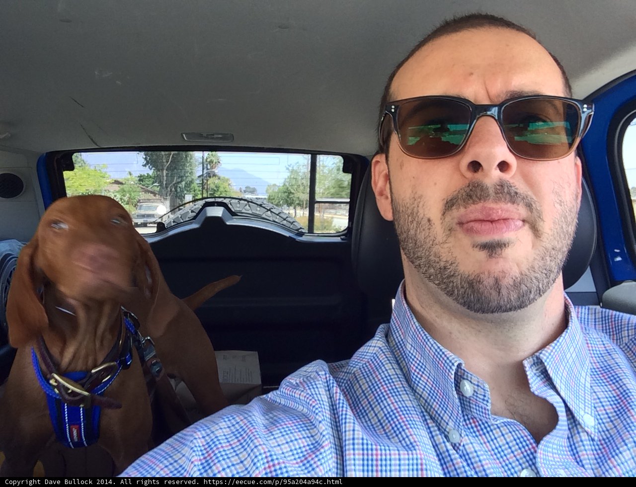 Man and his Hound on the Go