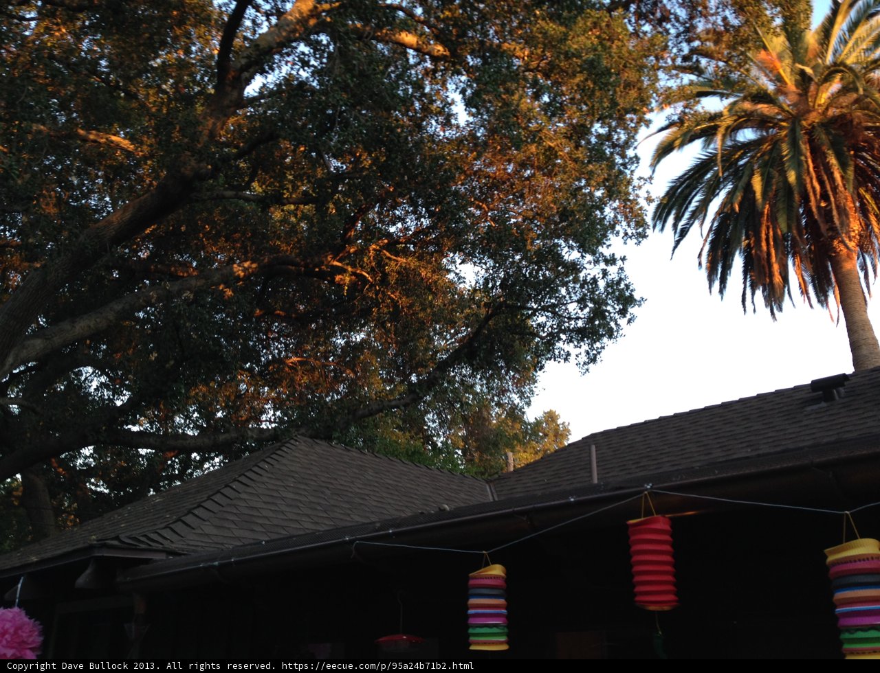 Summer Fun in Altadena